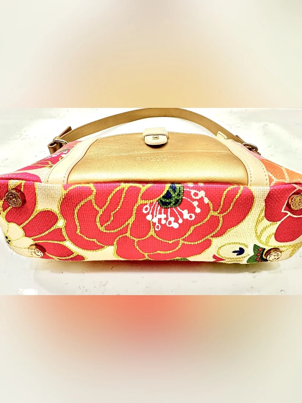 Spartina 449 Carson Cottage Dixie Hobo Floral Multicolor Handbag